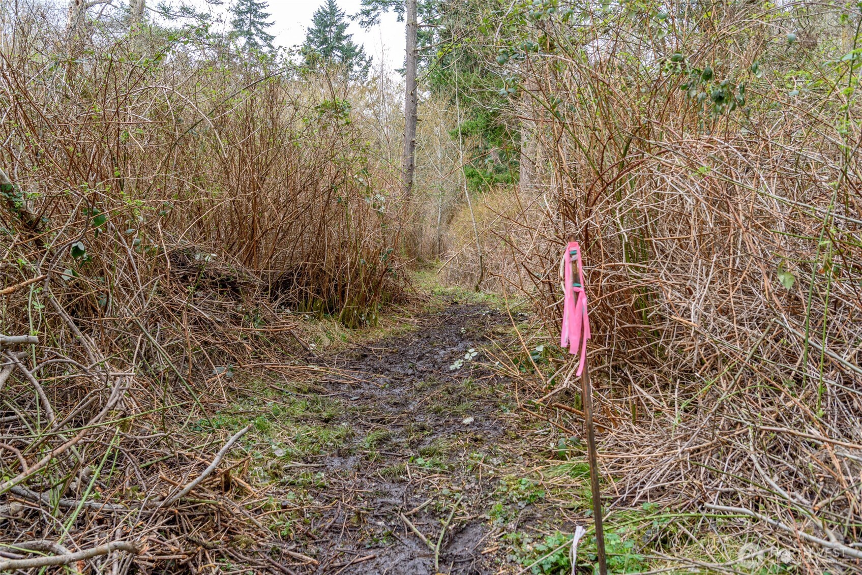 0 NHN Polnell Road , Oak Harbor, WA 98277