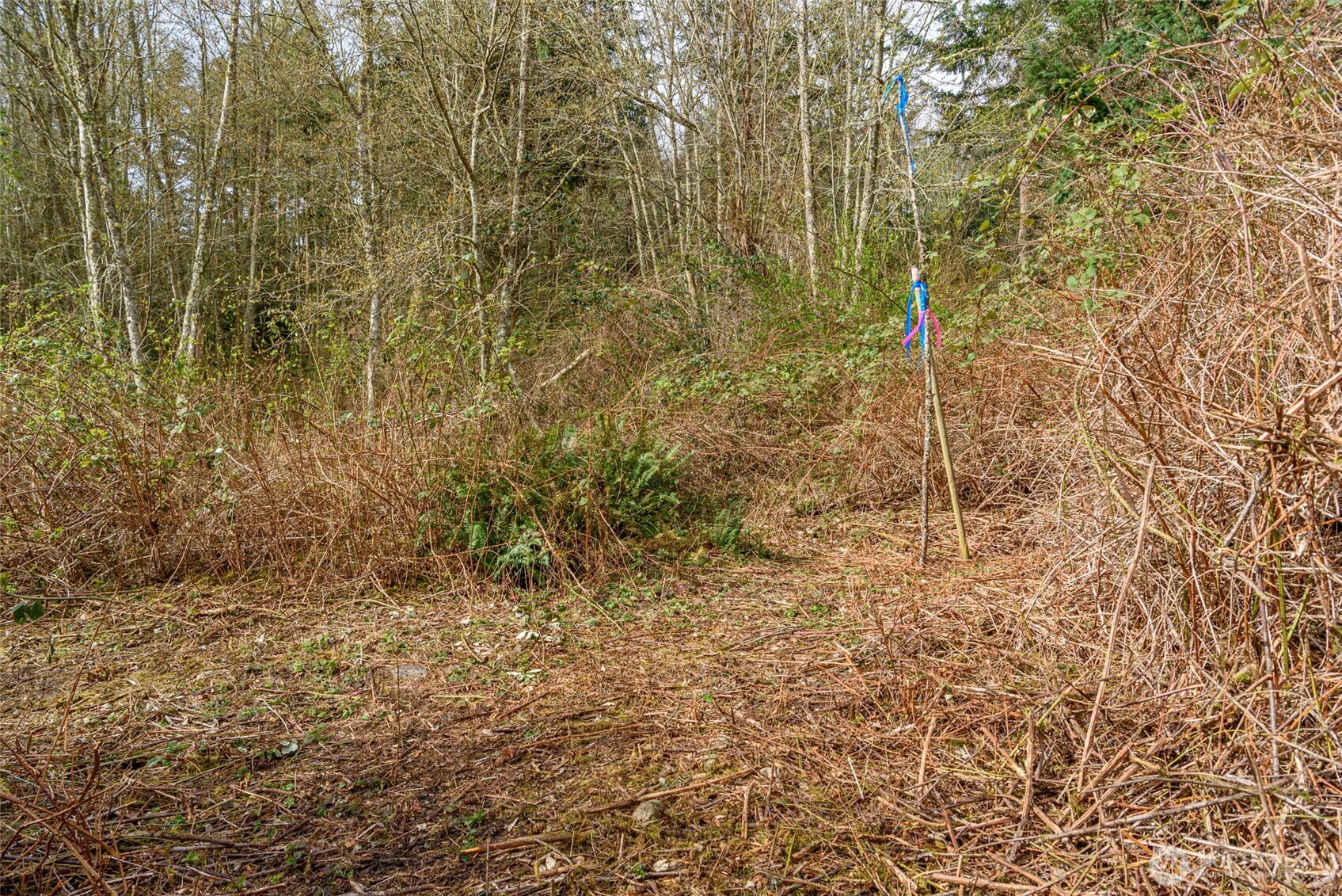 0 NHN Polnell Road , Oak Harbor, WA 98277