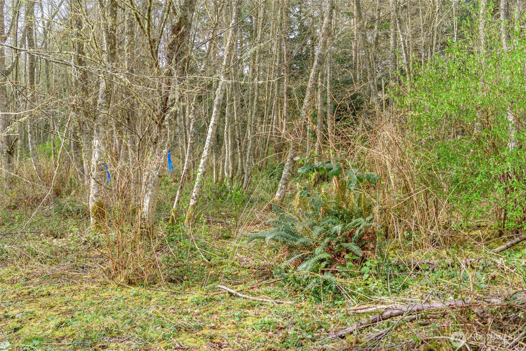 0 NHN Polnell Road , Oak Harbor, WA 98277