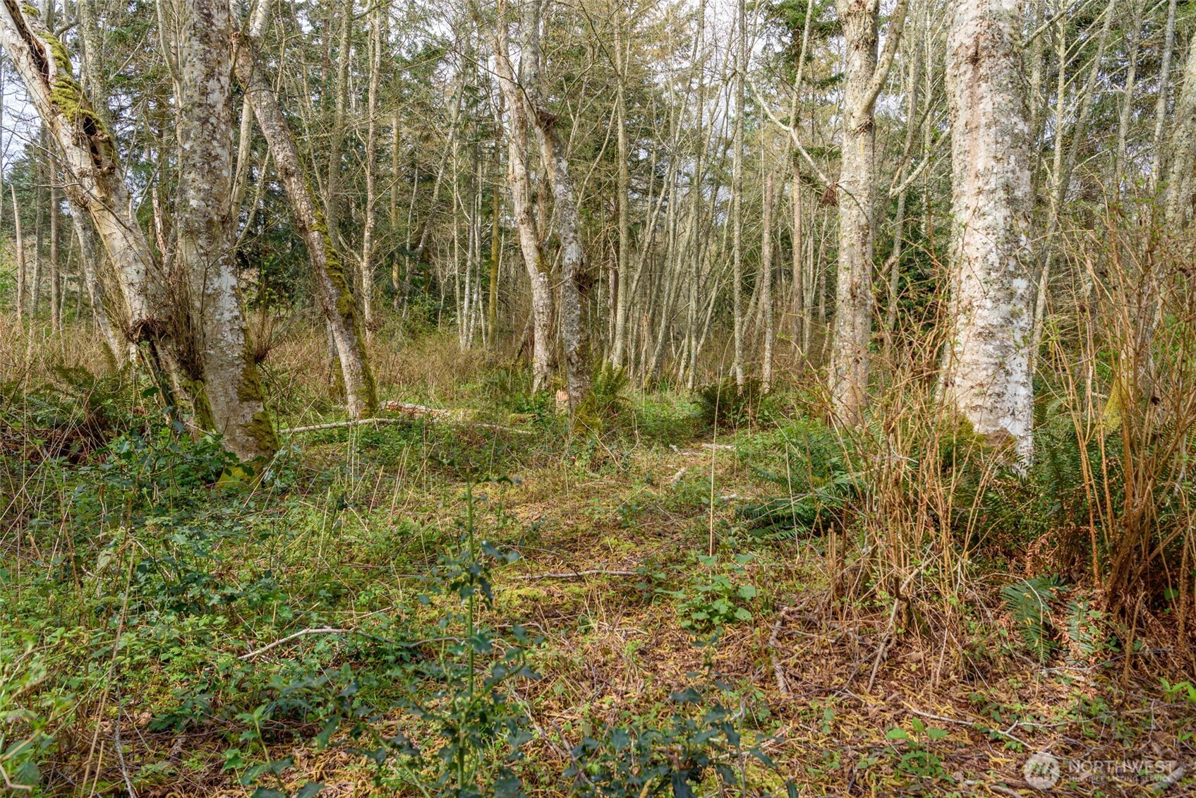 0 NHN Polnell Road , Oak Harbor, WA 98277