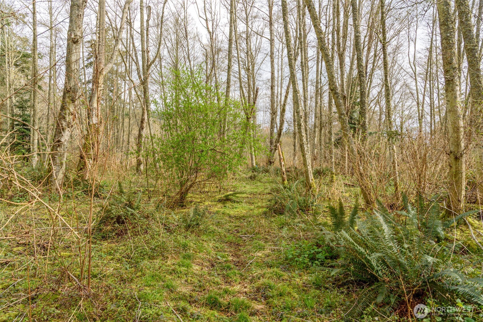 0 NHN Polnell Road , Oak Harbor, WA 98277