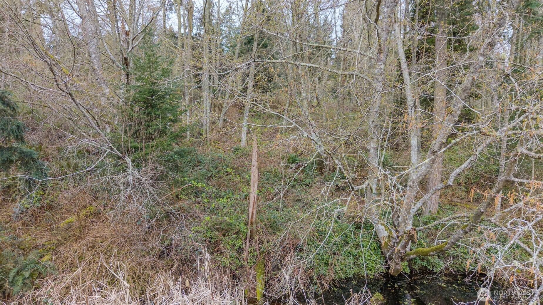 0 NHN Polnell Road , Oak Harbor, WA 98277