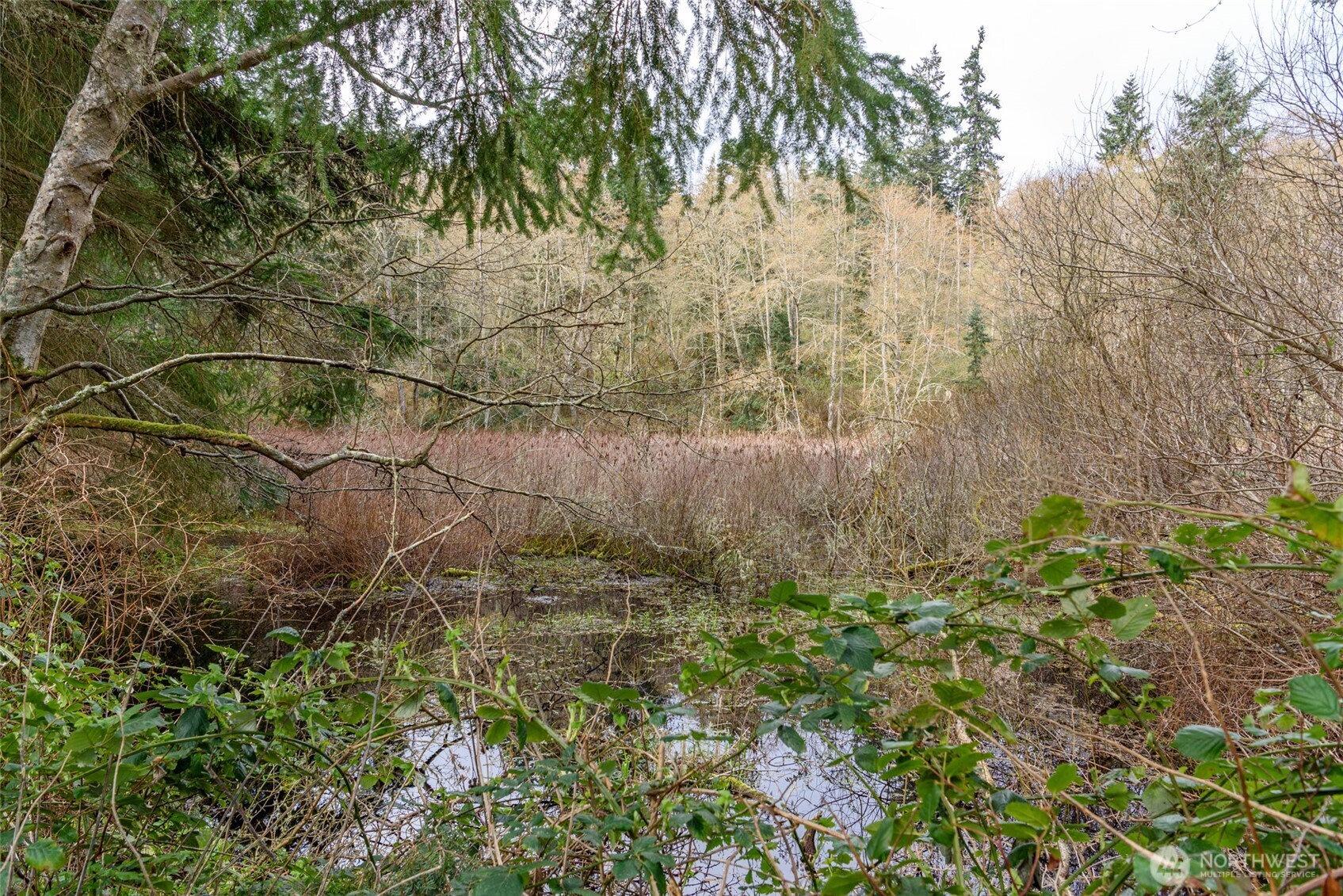 0 NHN Polnell Road , Oak Harbor, WA 98277