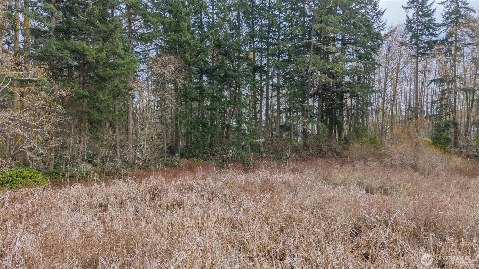 0 NHN Polnell Road , Oak Harbor, WA 98277