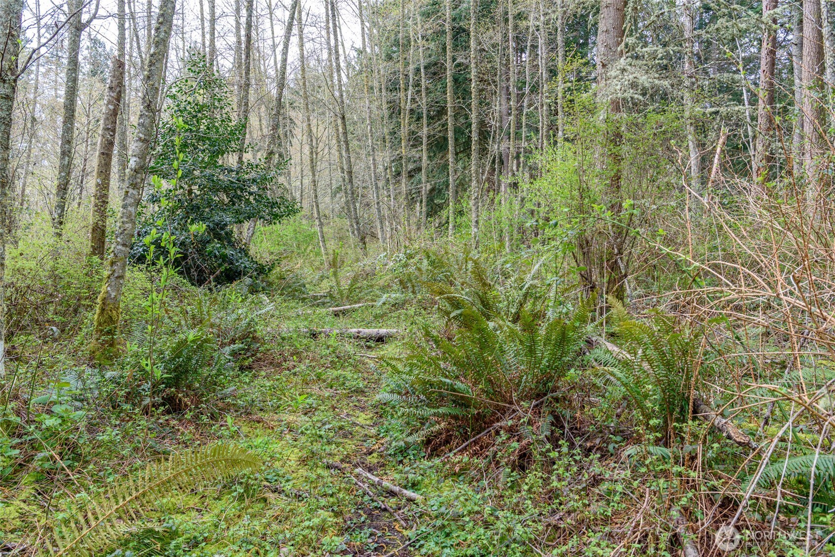 0 NHN Polnell Road , Oak Harbor, WA 98277