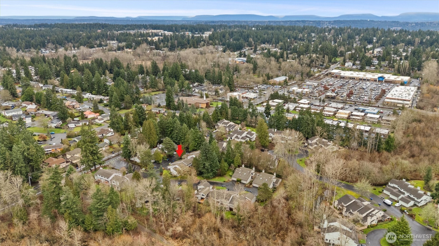 10 143rd Avenue SE, Bellevue, WA 98007