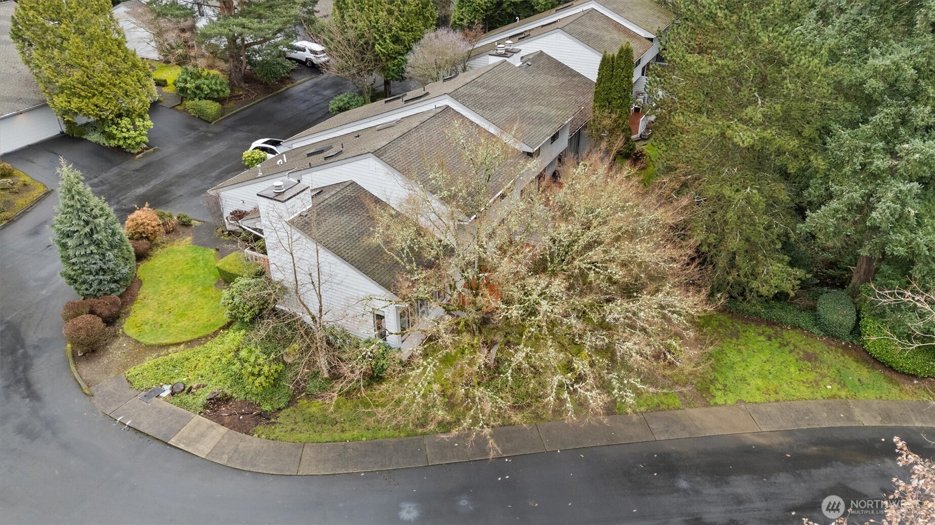 10 143rd Avenue SE, Bellevue, WA 98007