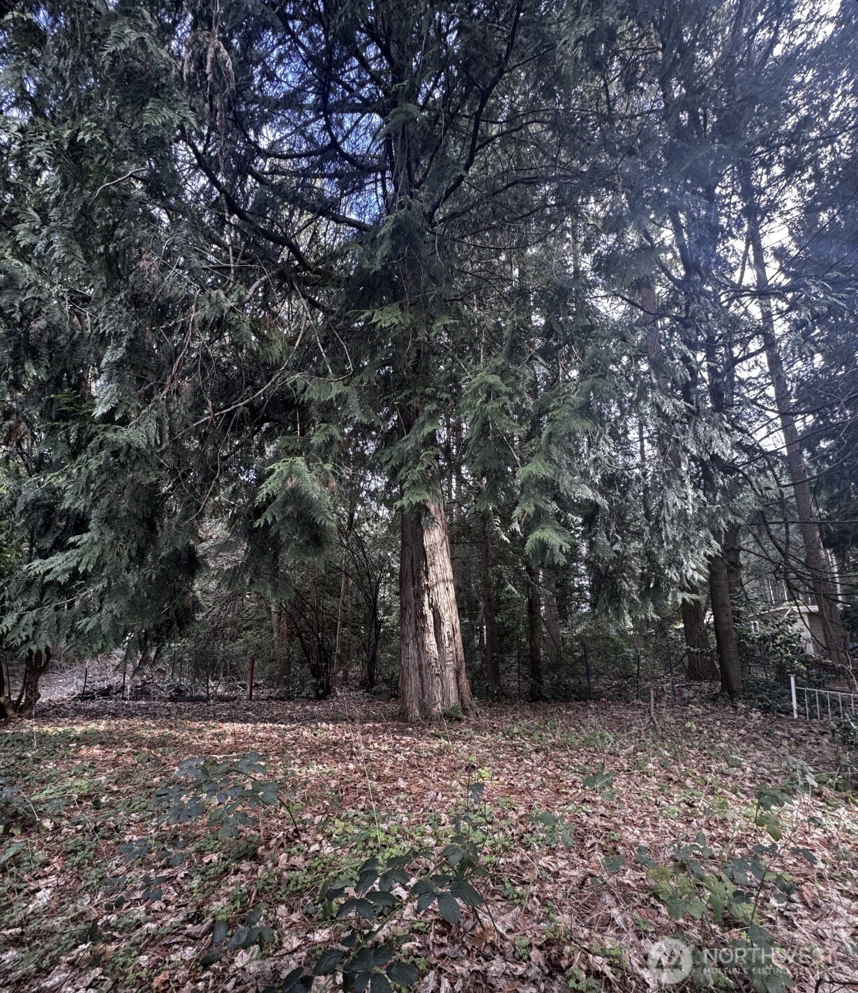 20501 31st Drive SE, Bothell, WA 98012