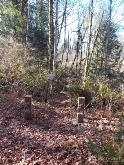 421 Young Road , Mossyrock, WA 98564 - Photo 12