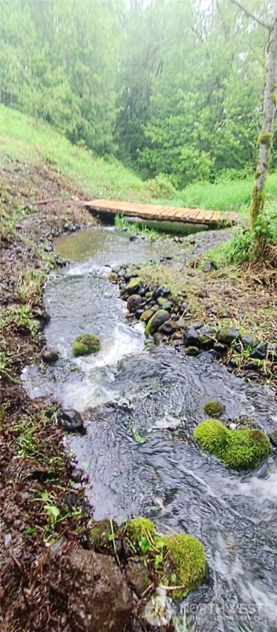 421 Young Road , Mossyrock, WA 98564 - Photo 14