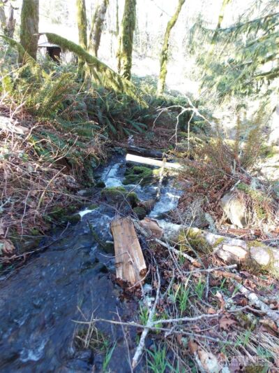 421 Young Road , Mossyrock, WA 98564 - Photo 15