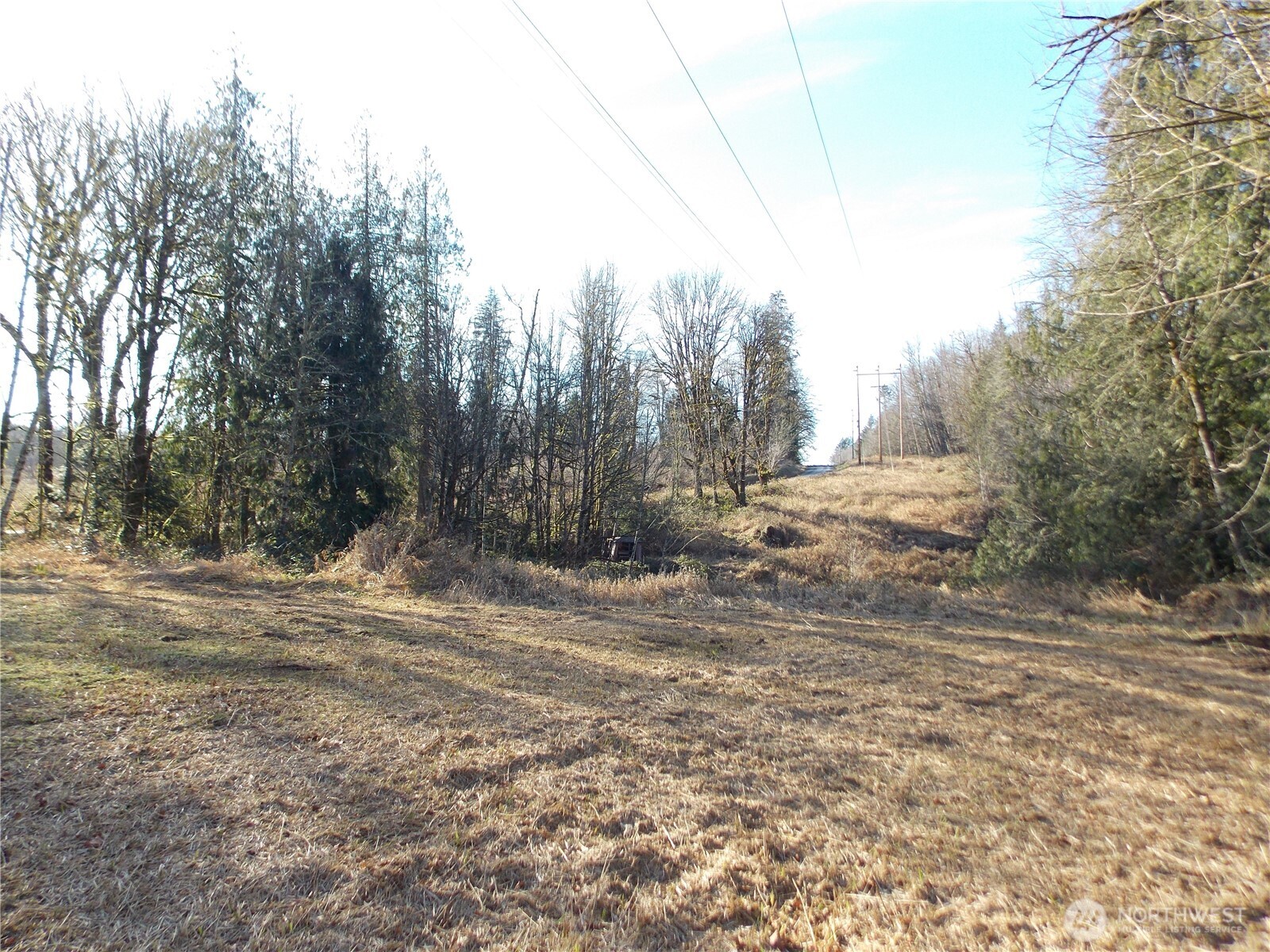 421 Young Road , Mossyrock, WA 98564