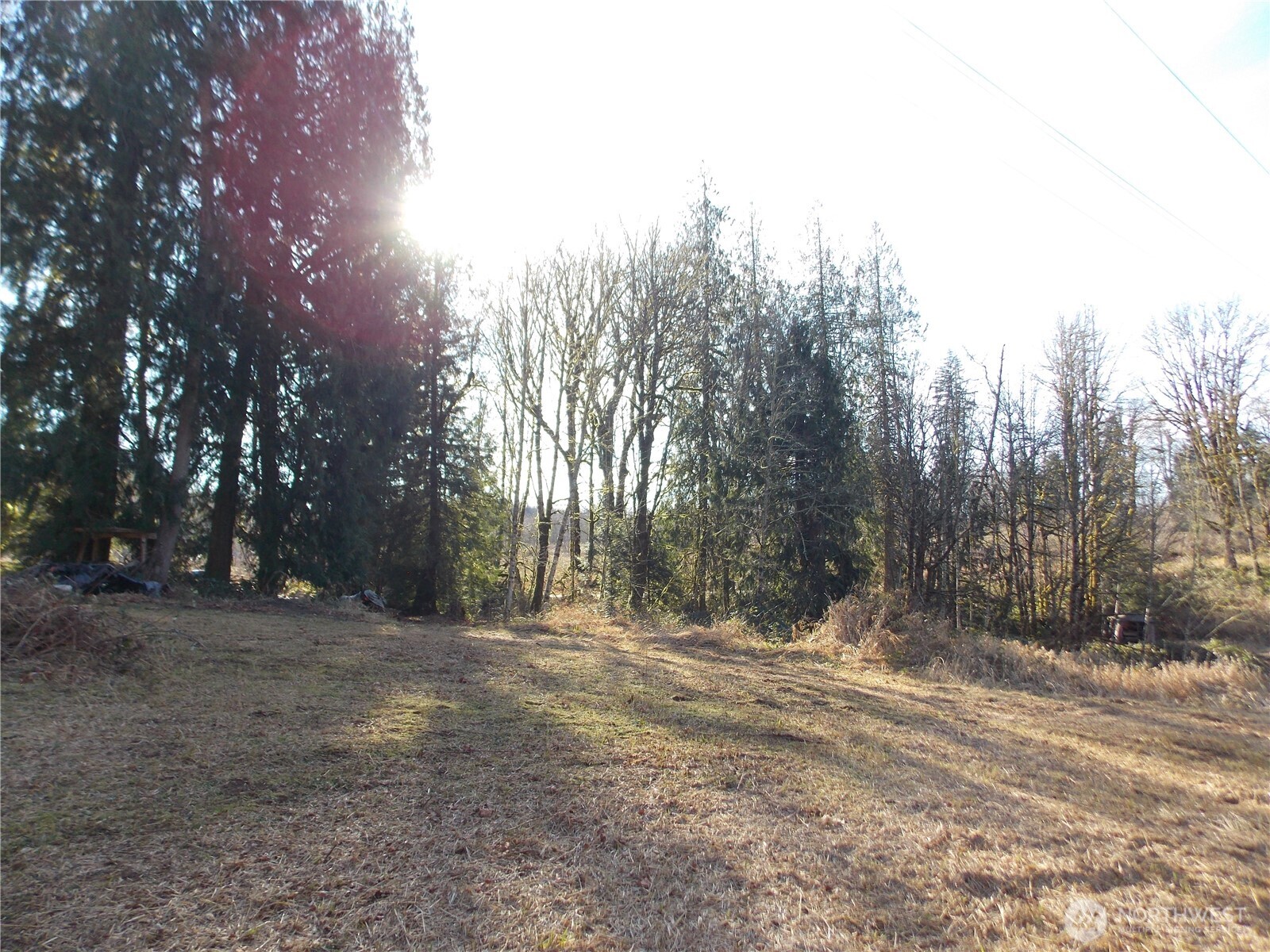 421 Young Road , Mossyrock, WA 98564