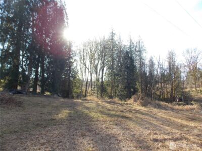 421 Young Road , Mossyrock, WA 98564 - Photo 17