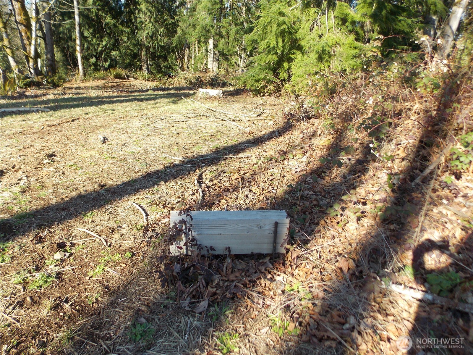 421 Young Road , Mossyrock, WA 98564