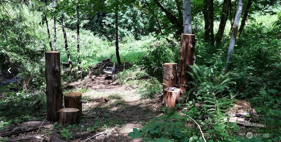 421 Young Road , Mossyrock, WA 98564