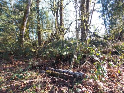 421 Young Road , Mossyrock, WA 98564 - Photo 27