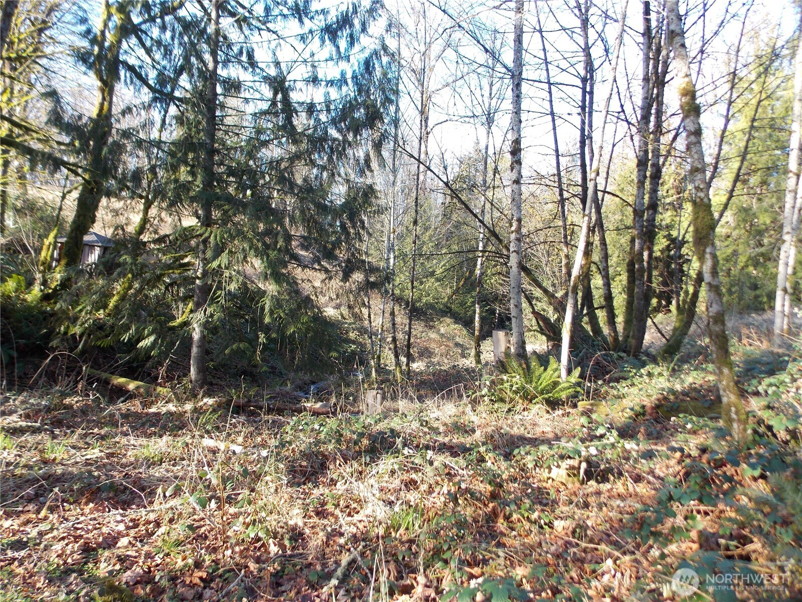 421 Young Road , Mossyrock, WA 98564