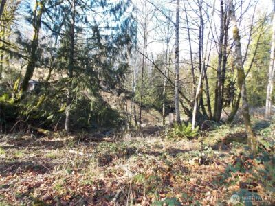 421 Young Road , Mossyrock, WA 98564 - Photo 28