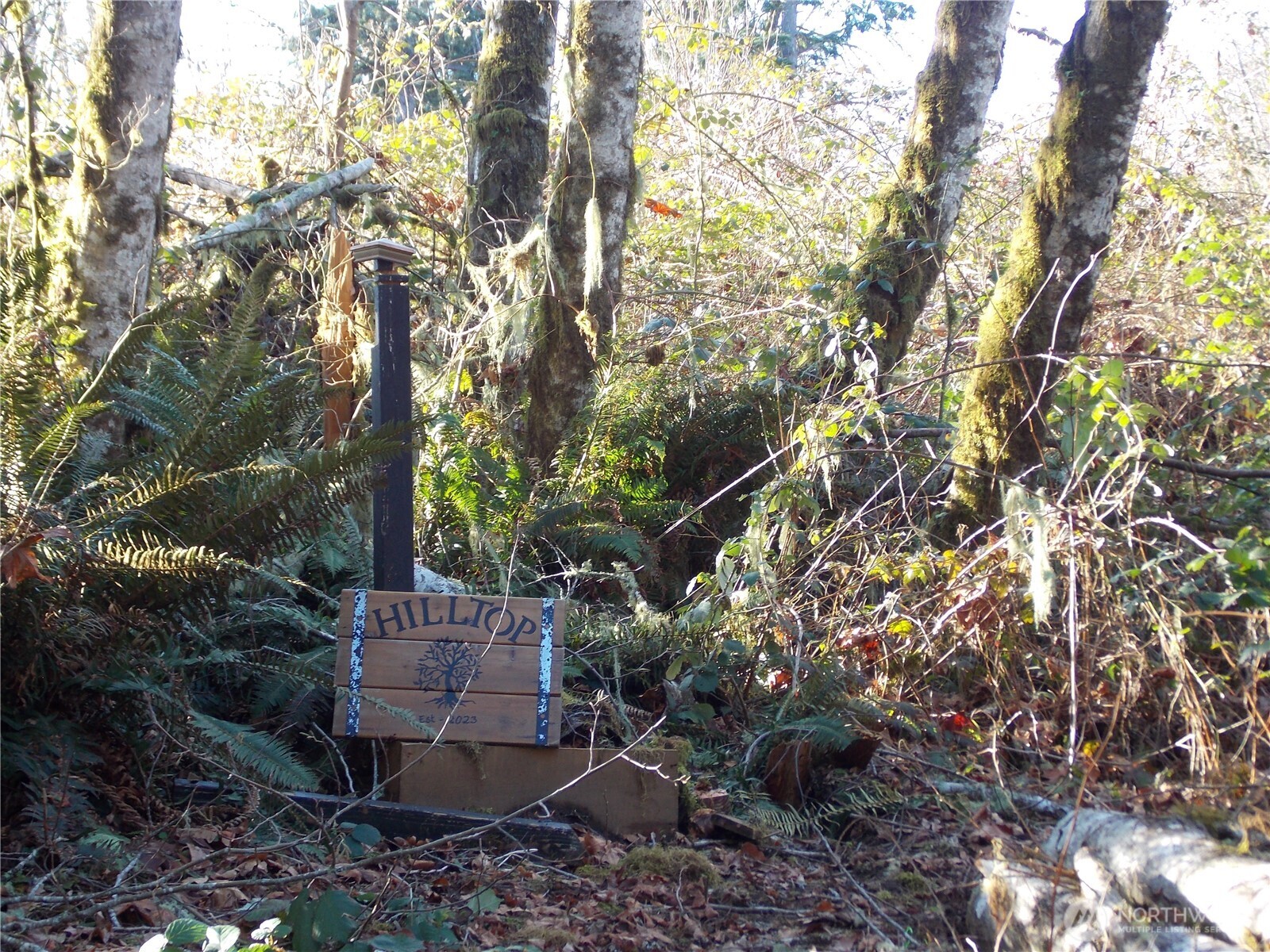 421 Young Road , Mossyrock, WA 98564