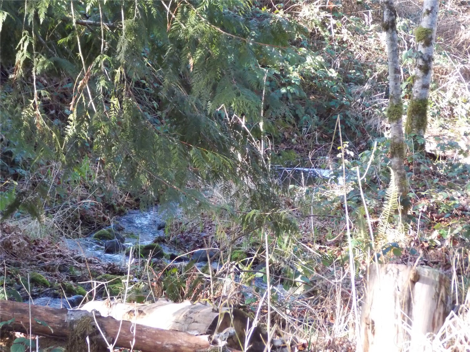 421 Young Road , Mossyrock, WA 98564