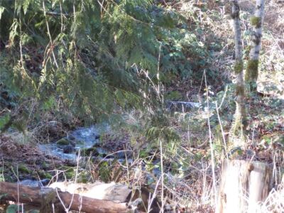 421 Young Road , Mossyrock, WA 98564 - Photo 30