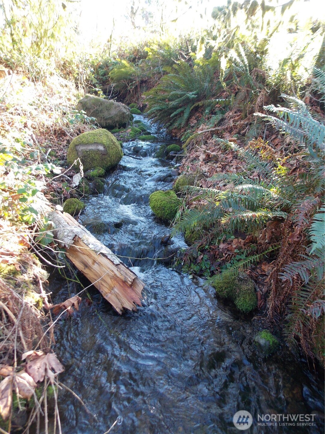 421 Young Road , Mossyrock, WA 98564