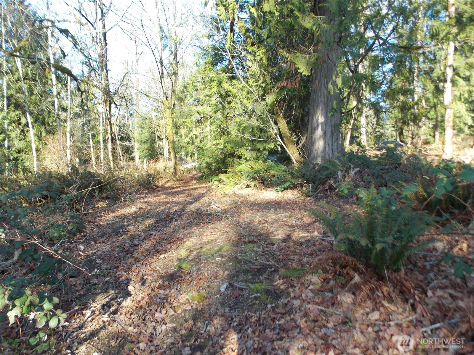 421 Young Road , Mossyrock, WA 98564