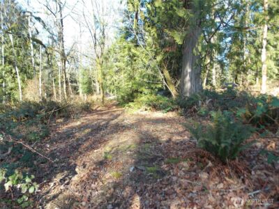 421 Young Road , Mossyrock, WA 98564 - Photo 31