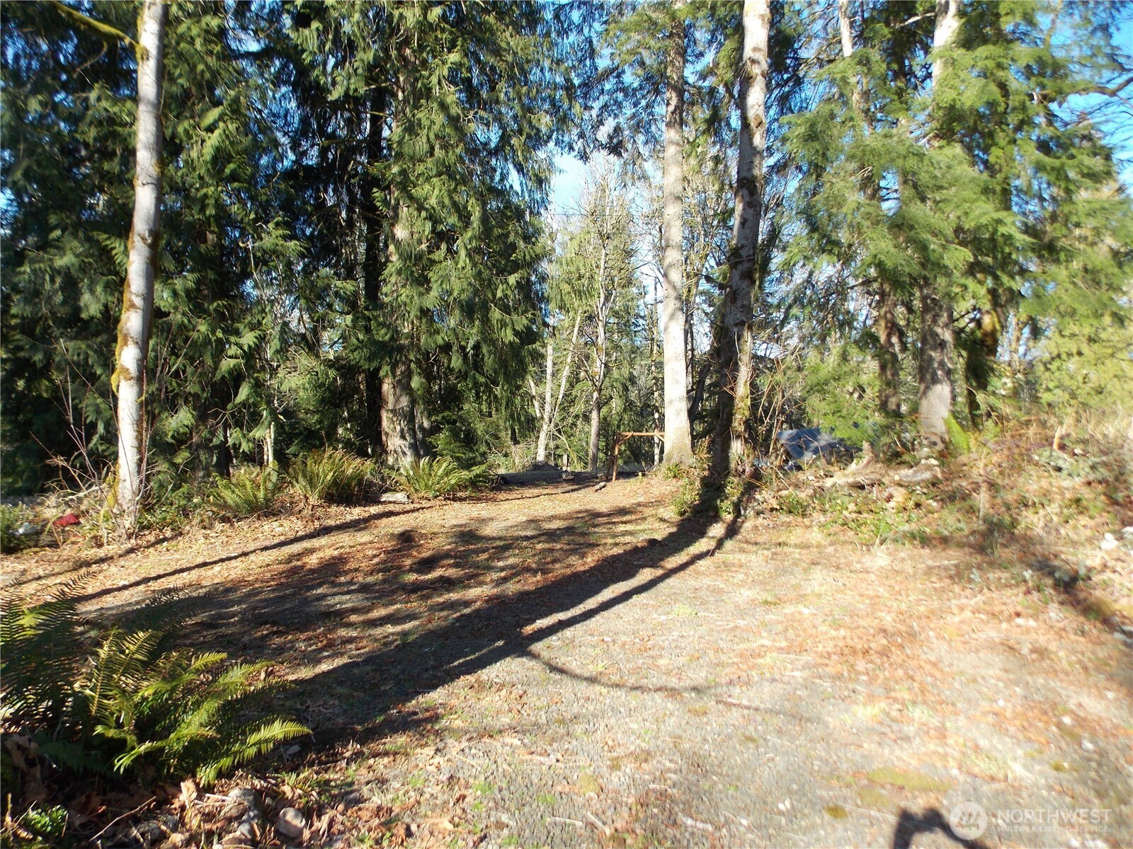 421 Young Road , Mossyrock, WA 98564