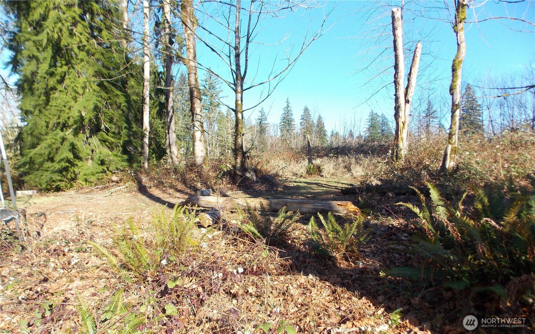 421 Young Road , Mossyrock, WA 98564