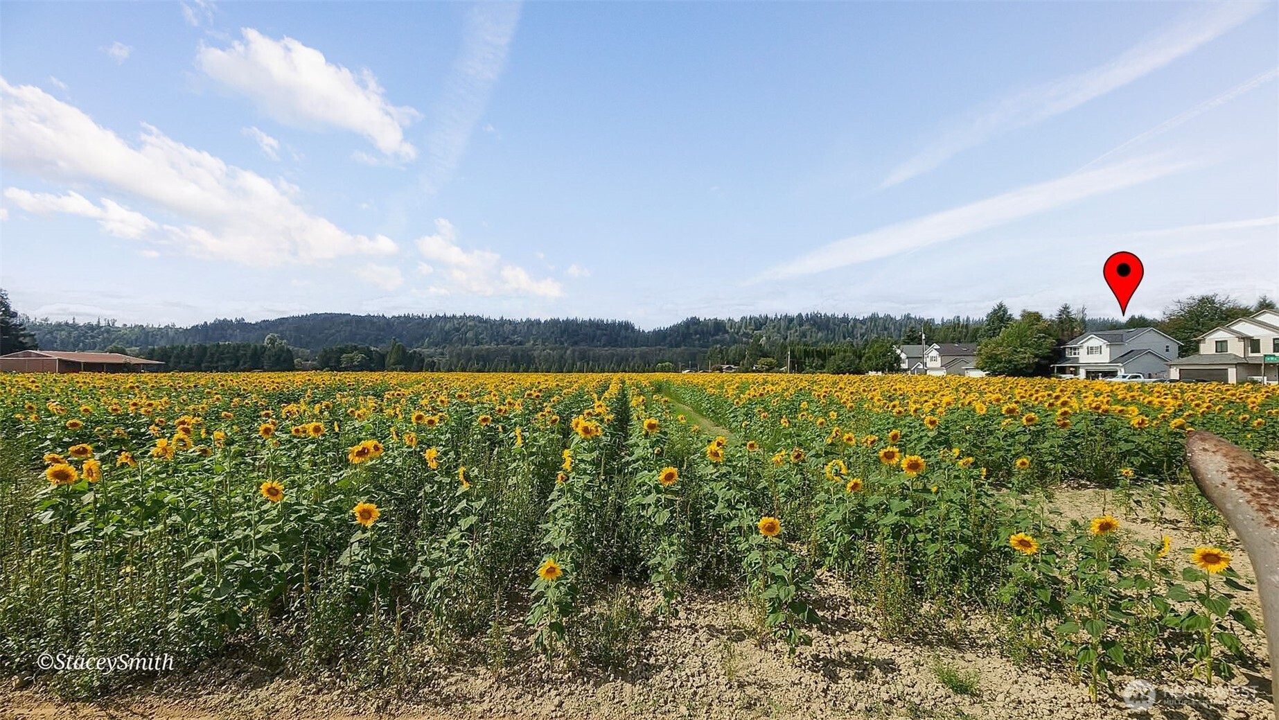 31922 NE 55th Street , Carnation, WA 98014