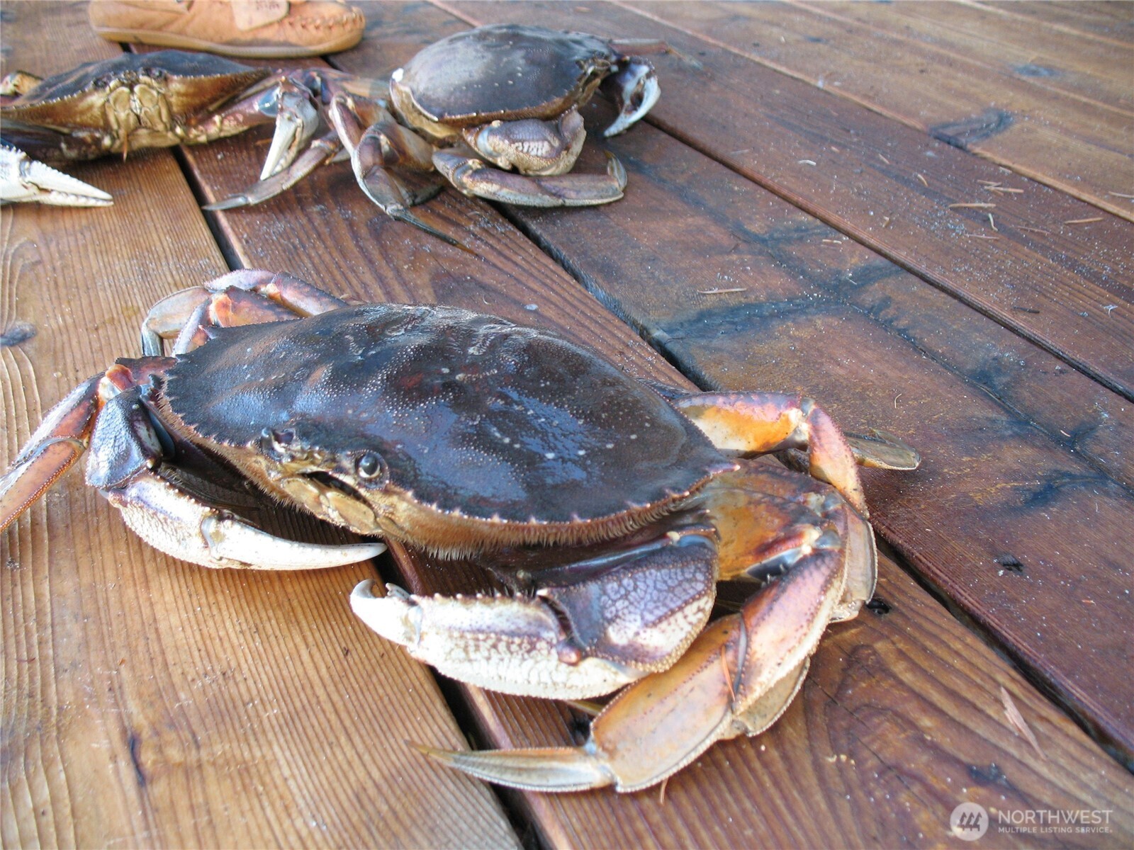 837 Cape Drive , Friday Harbor, WA 98250