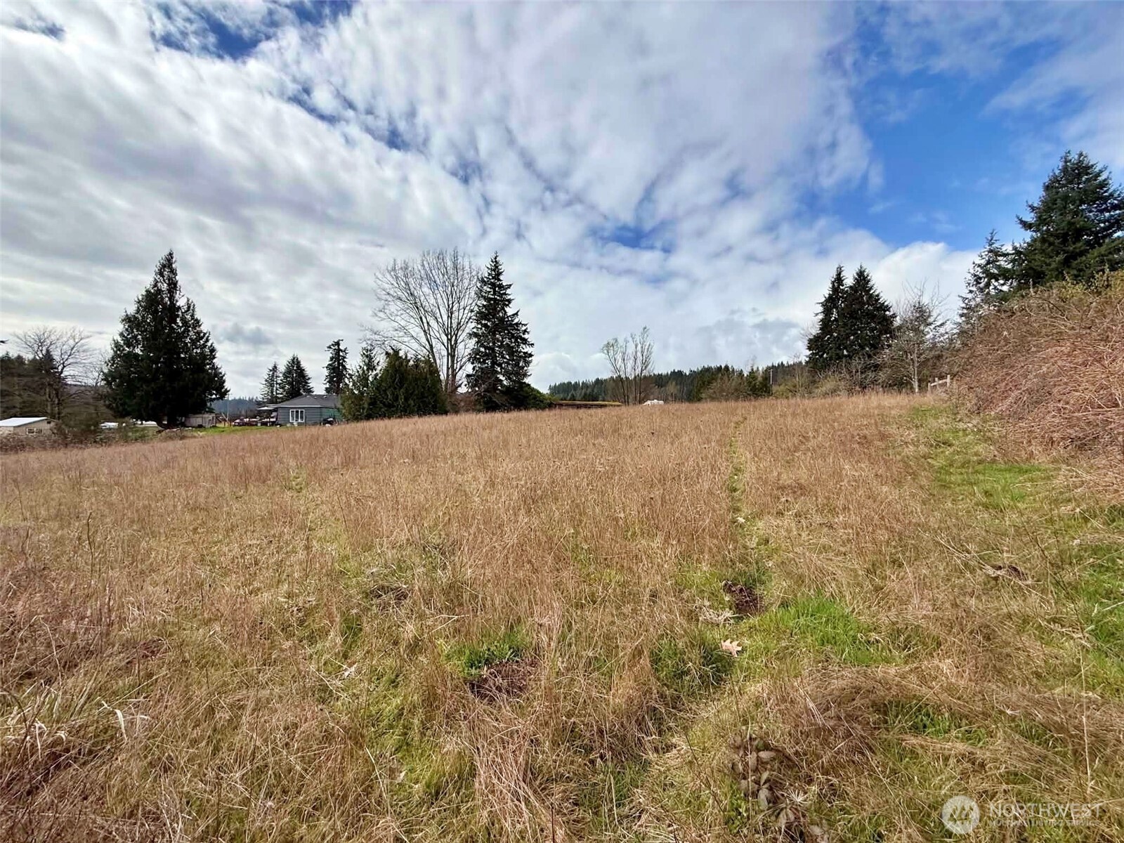 141 Filbert Road , Silver Creek, WA 98585