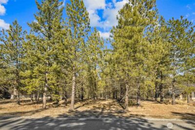 381 Gold Leaf Lane , Cle Elum, WA 98922