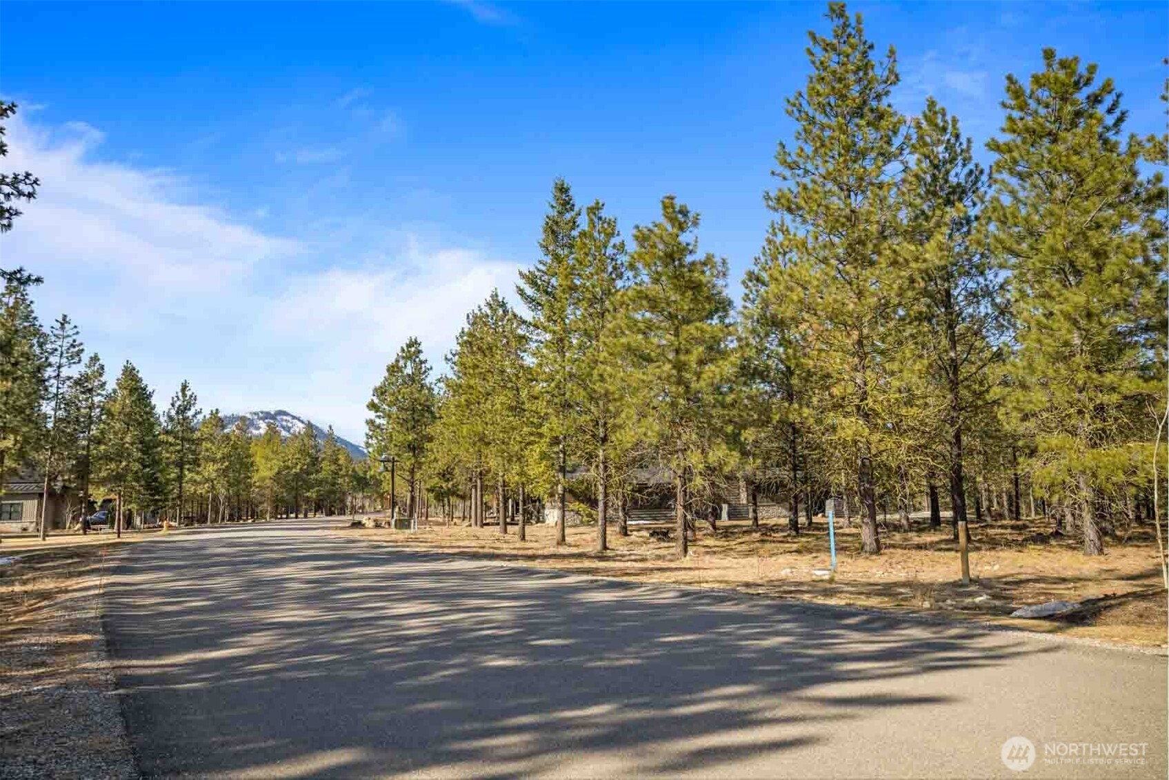 381 Gold Leaf Lane , Cle Elum, WA 98922