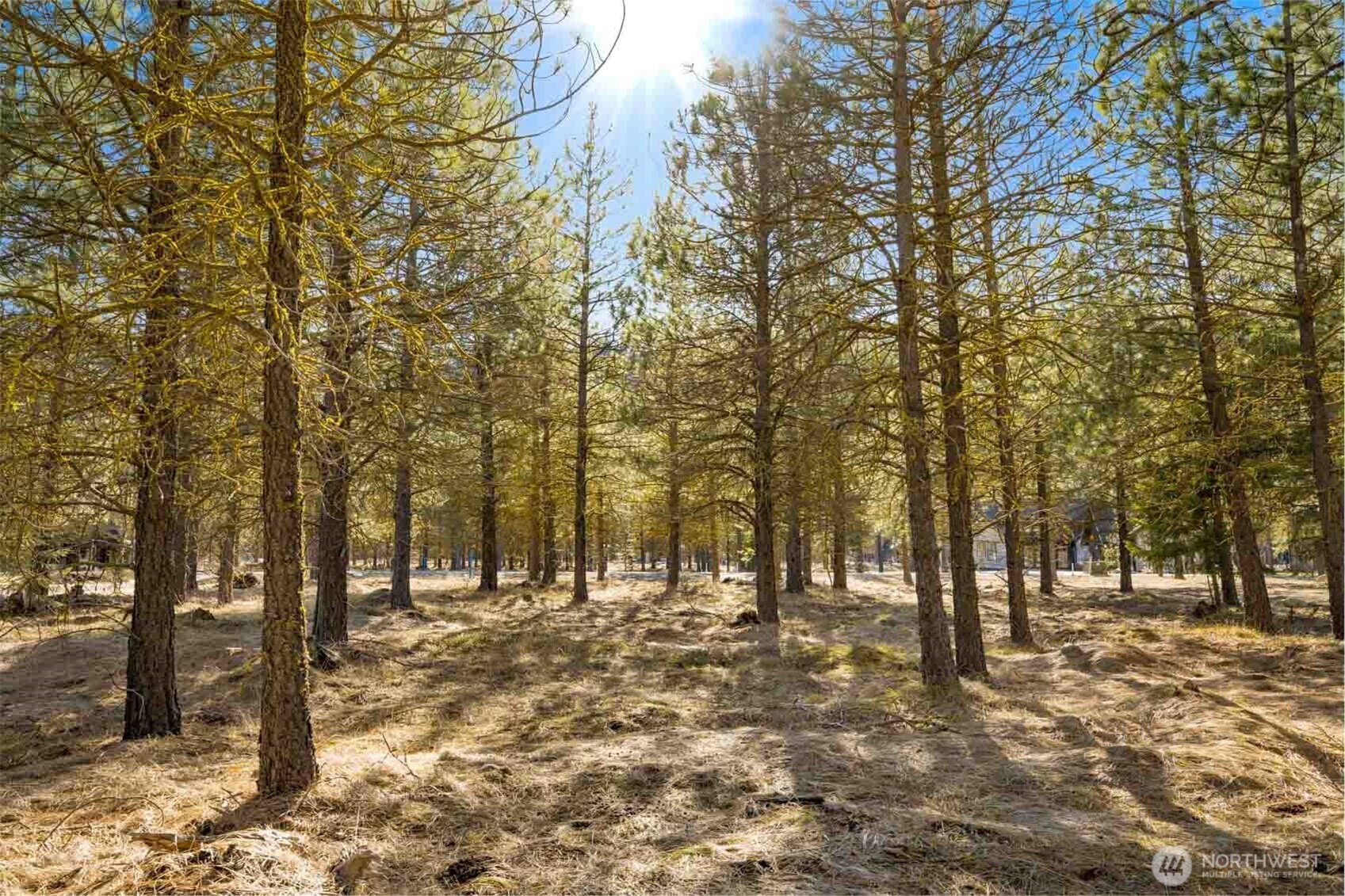 381 Gold Leaf Lane , Cle Elum, WA 98922