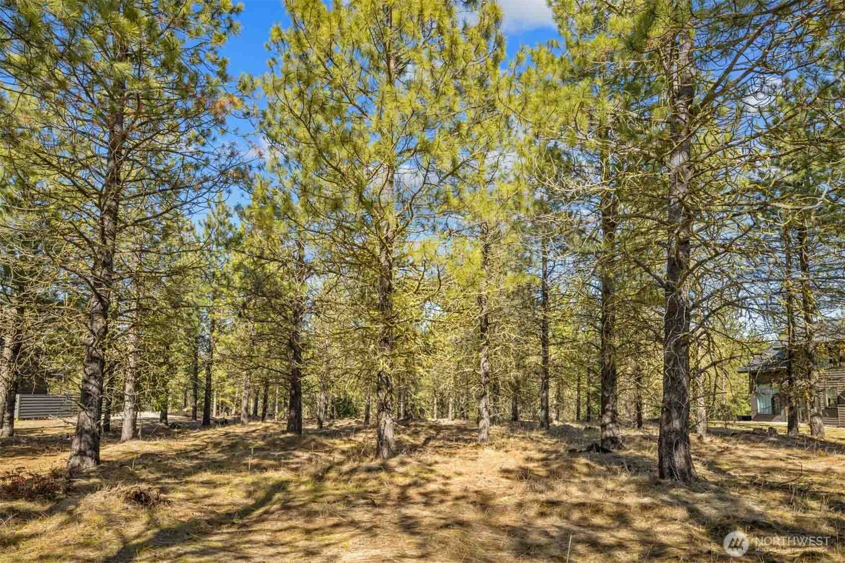 381 Gold Leaf Lane , Cle Elum, WA 98922