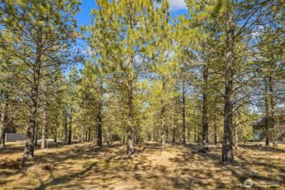 381 Gold Leaf Lane , Cle Elum, WA 98922 - Photo 4