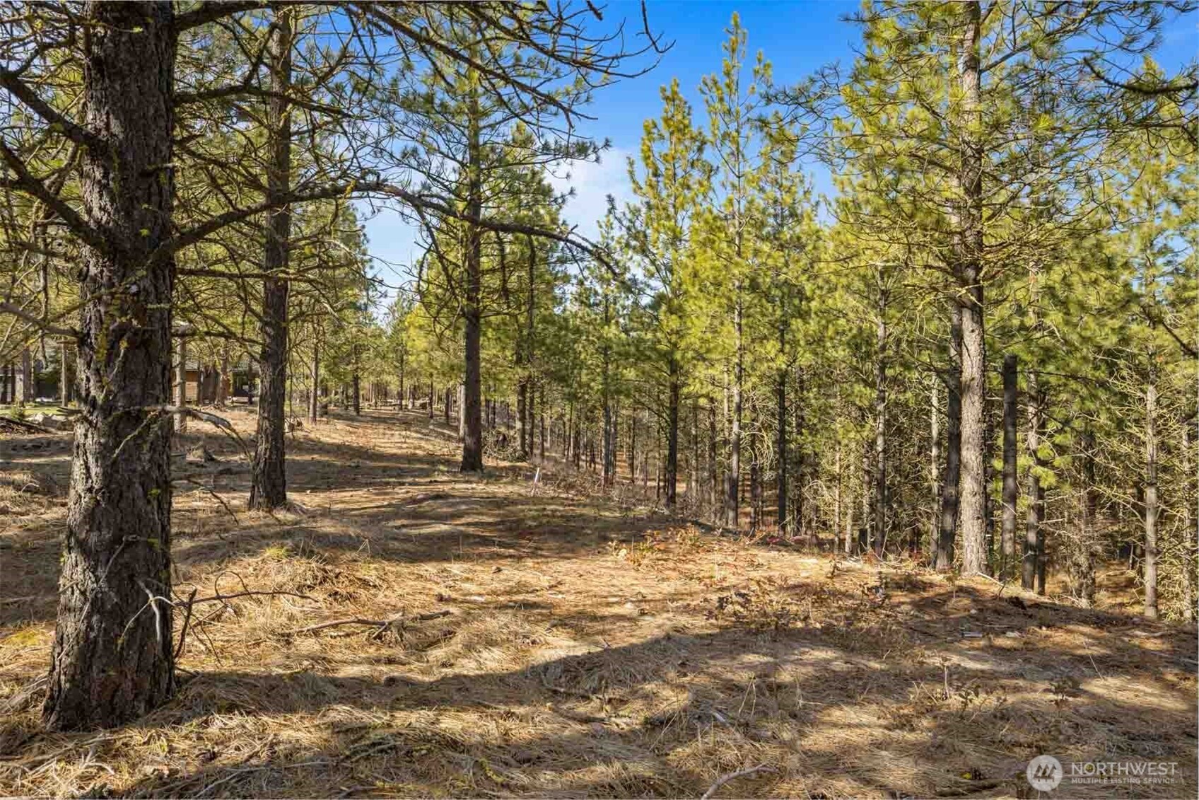 381 Gold Leaf Lane , Cle Elum, WA 98922