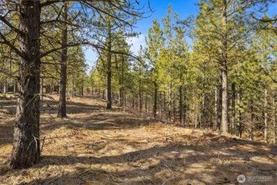 381 Gold Leaf Lane , Cle Elum, WA 98922 - Photo 5