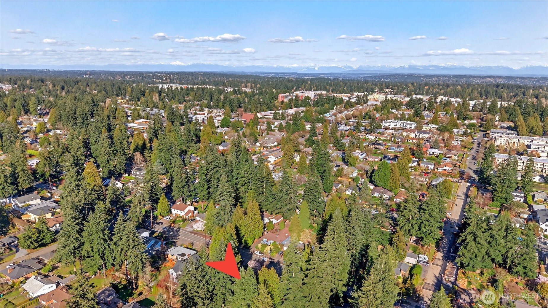 12721 3rd Avenue NW, Seattle, WA 98177