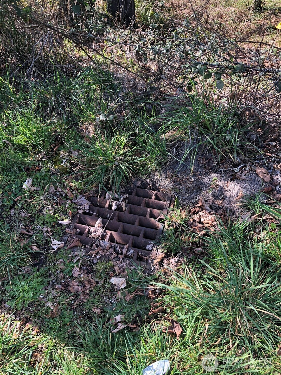 1919 Berry Street NE, Olympia, WA 98506