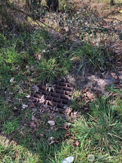 1919 Berry Street NE, Olympia, WA 98506 - Photo 13