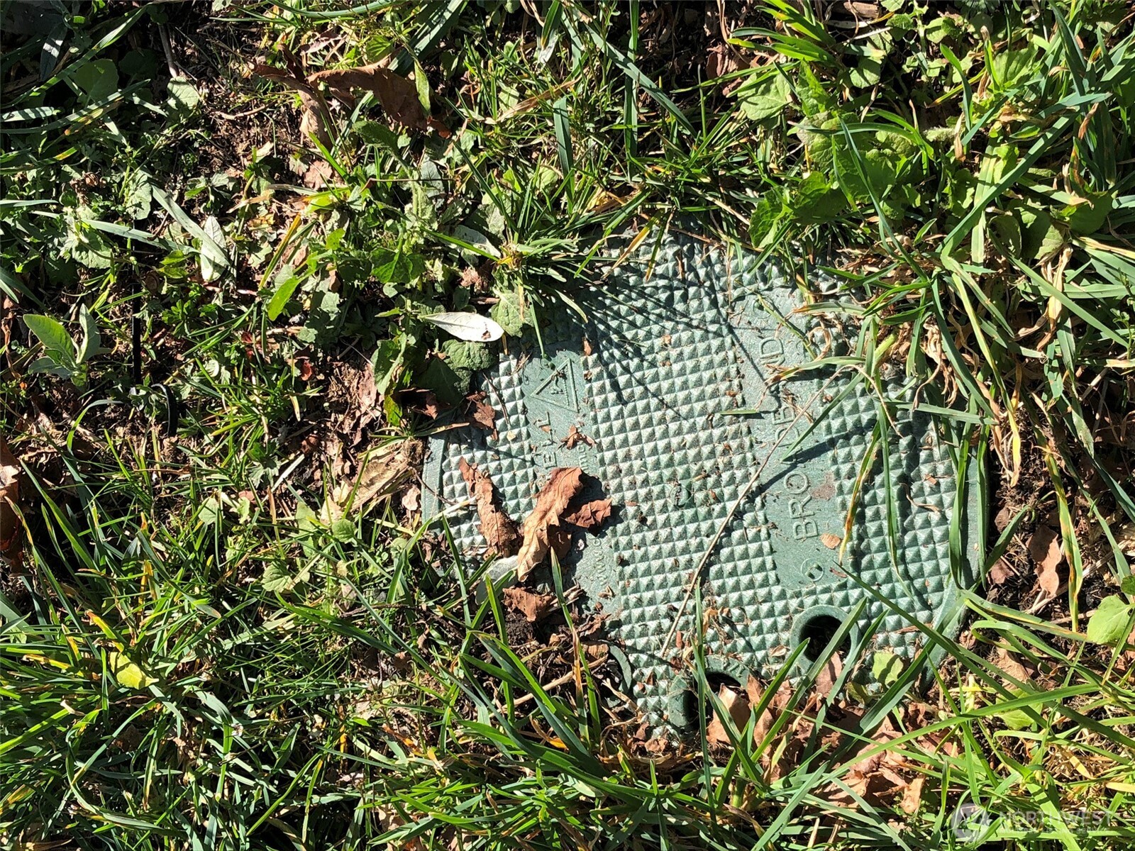 1919 Berry Street NE, Olympia, WA 98506