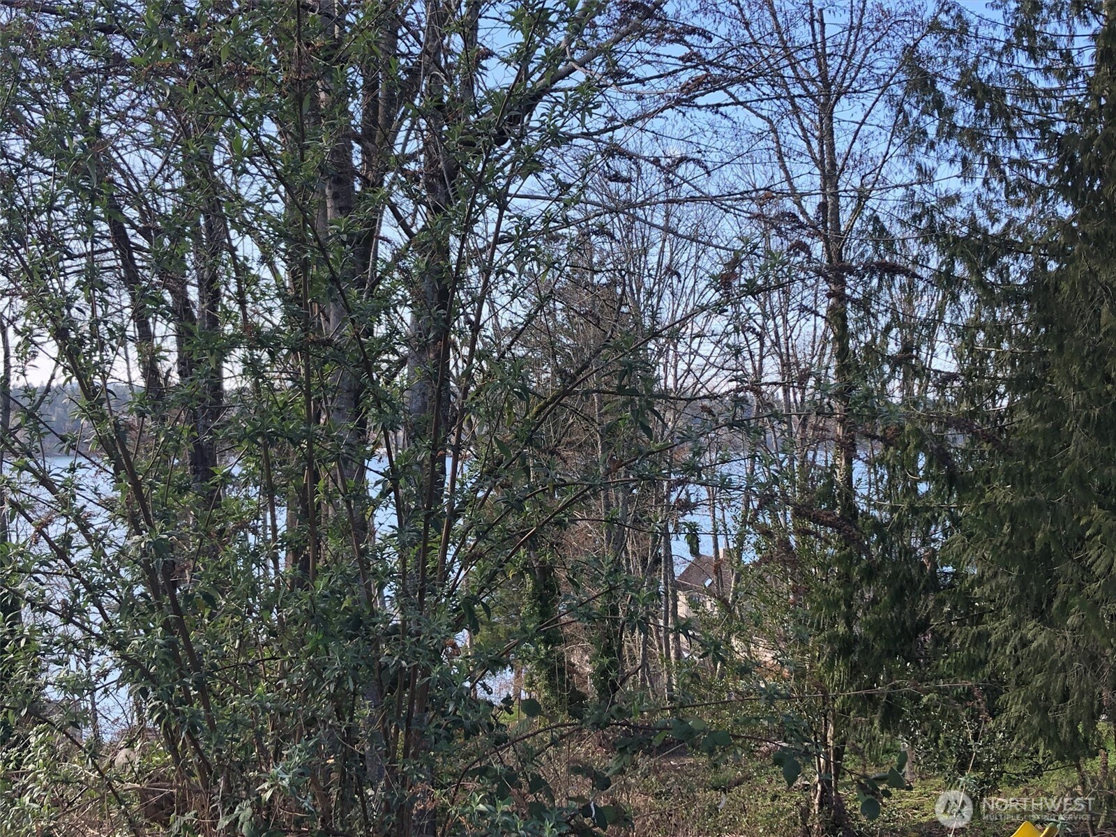 1919 Berry Street NE, Olympia, WA 98506