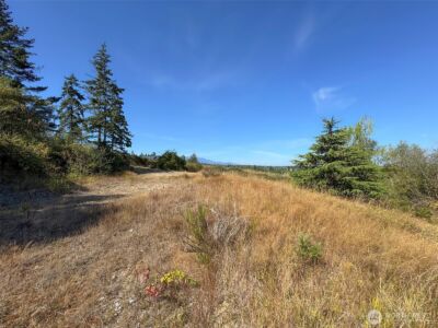 463 Miller Road , Sequim, WA 98382 - Photo 20