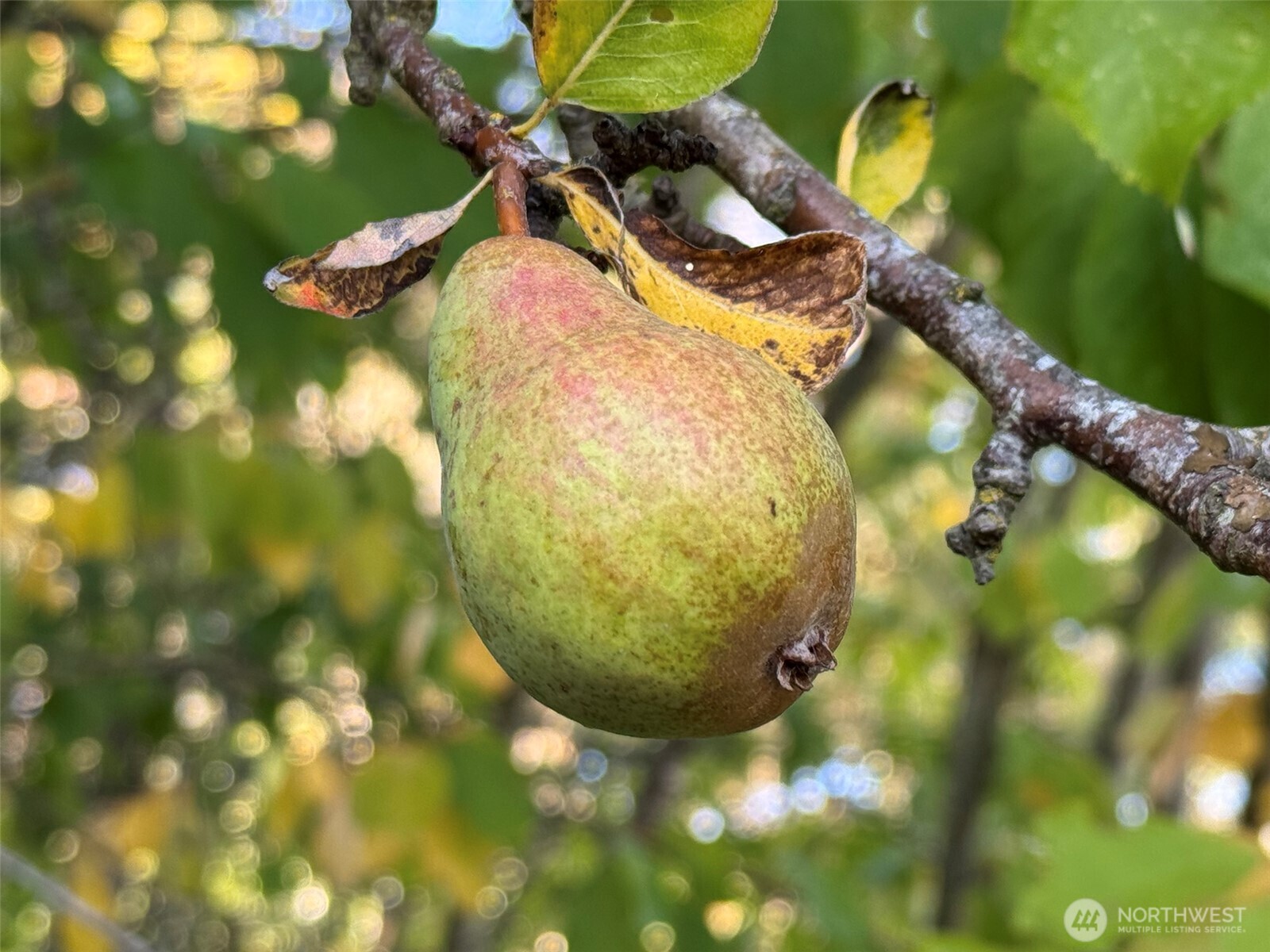 463 Miller Road , Sequim, WA 98382