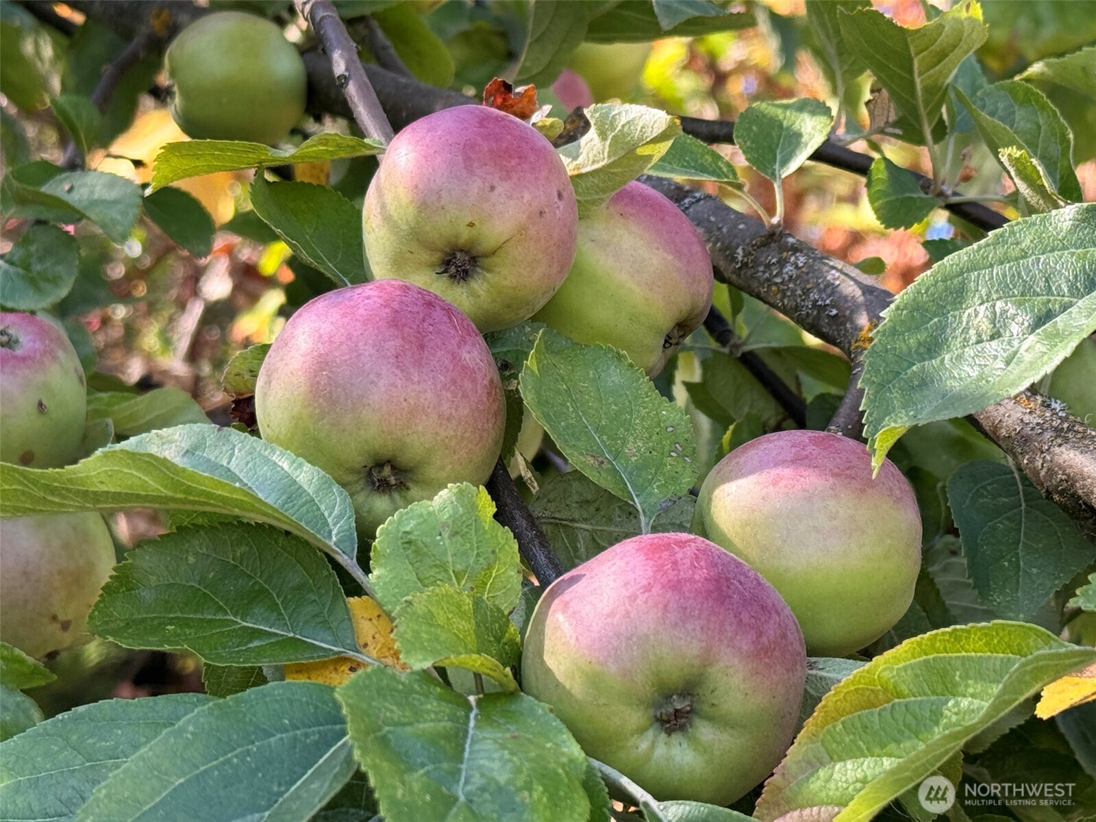 463 Miller Road , Sequim, WA 98382