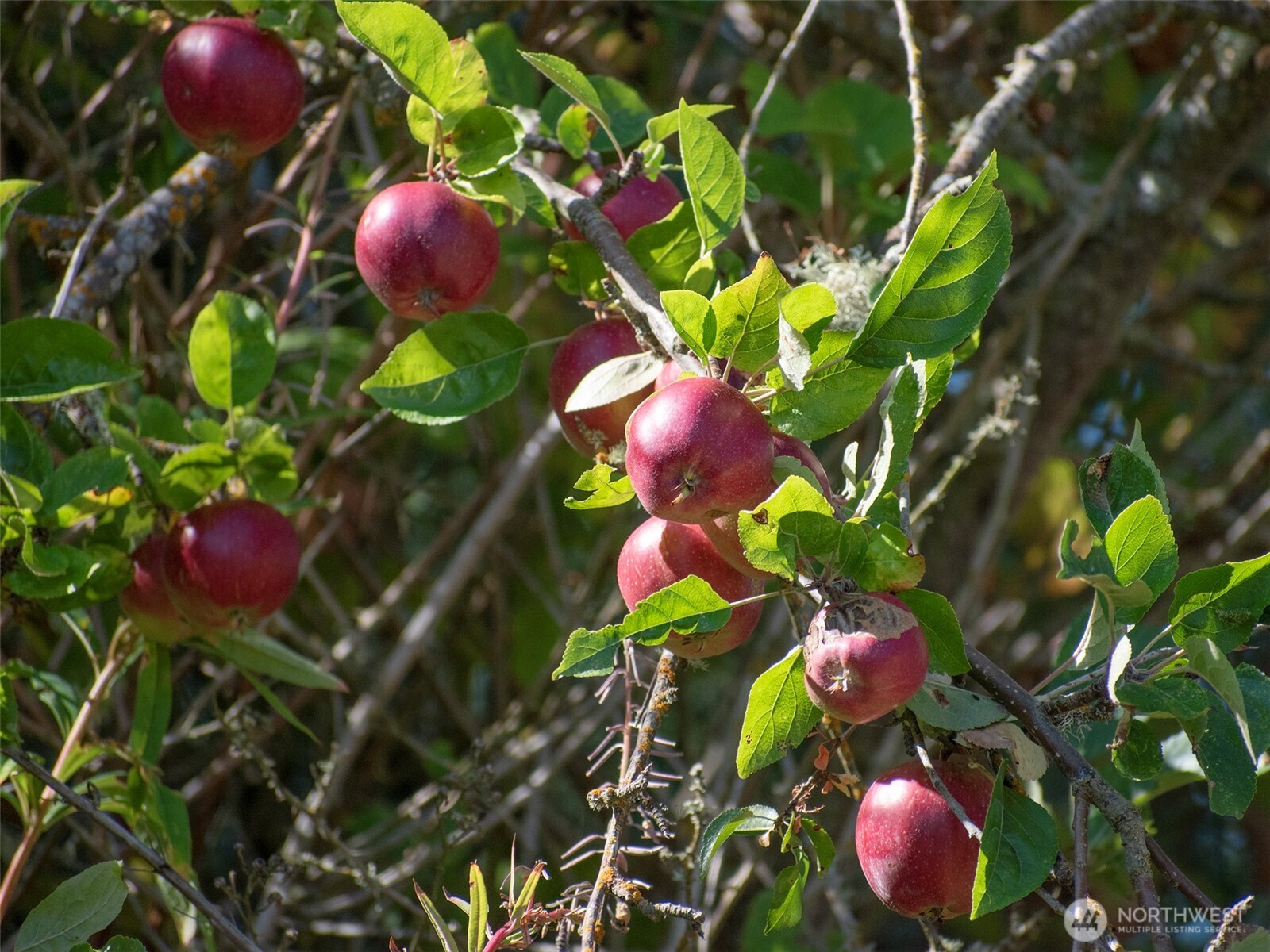 463 Miller Road , Sequim, WA 98382